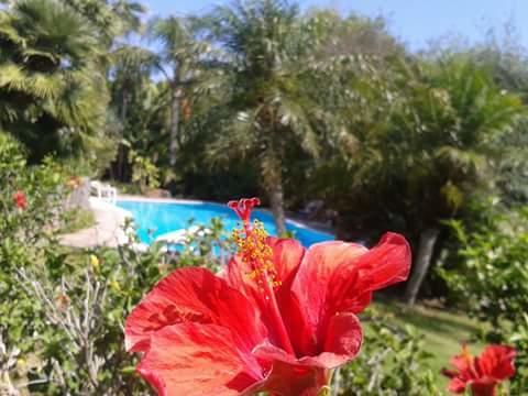 Bed and breakfast A Casa Di Angela Carbonia