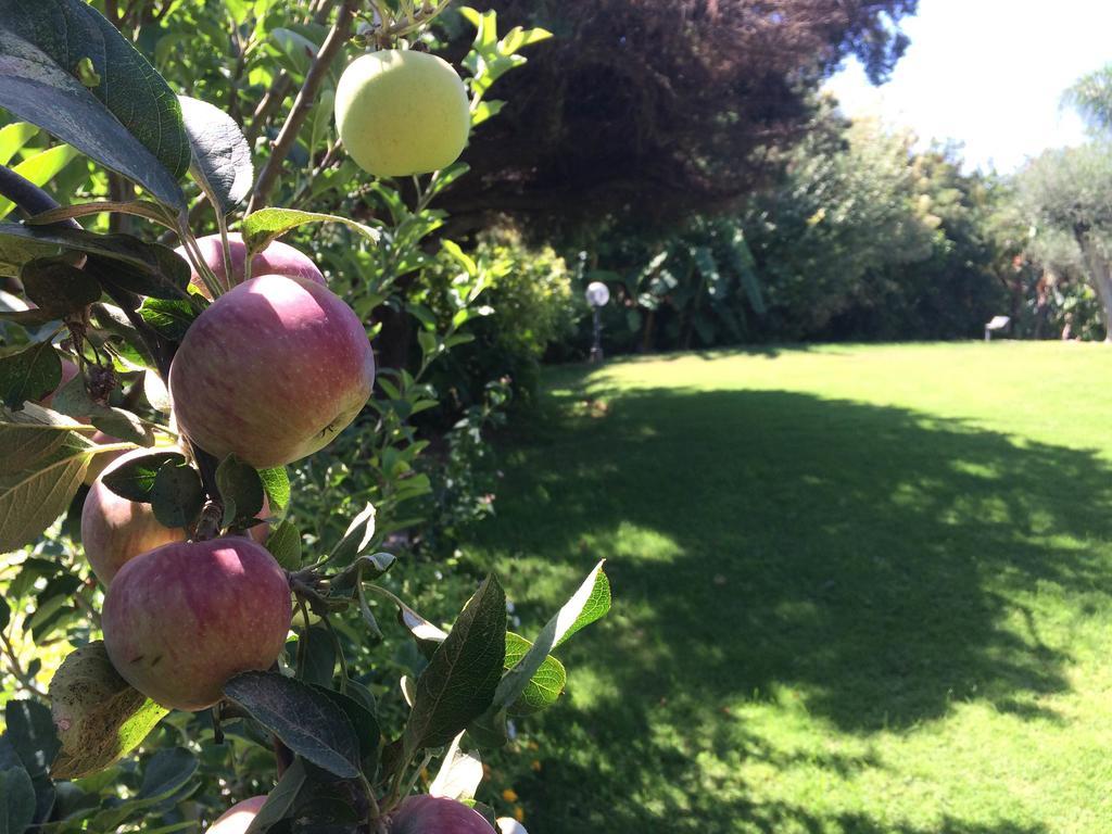 Bed and breakfast A Casa Di Angela Carbonia